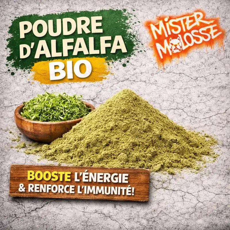 ALFALFA BIO pour chien
