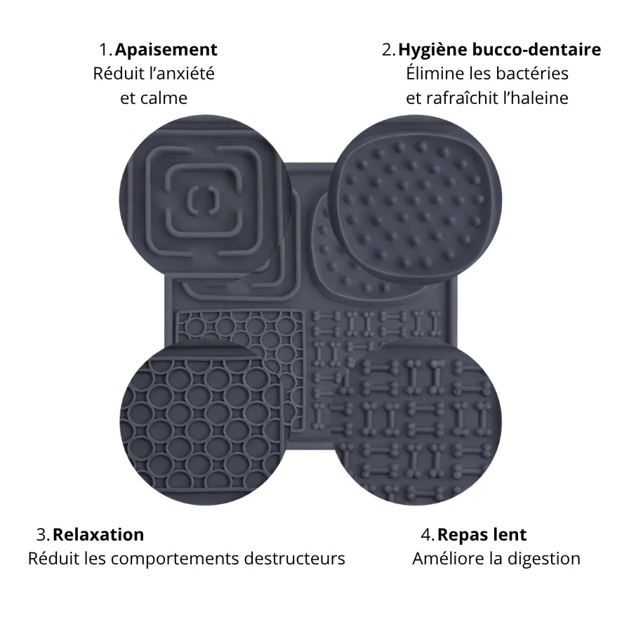 TAPIS DE LÉCHAGE | L’ANTI-STRESS ULTIME POUR FIXER TON MOLOSSE