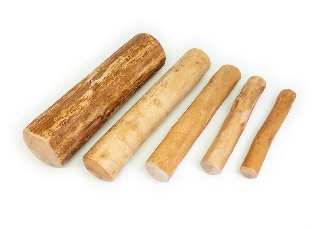 Bois_de_cannelle_XS_au_XL