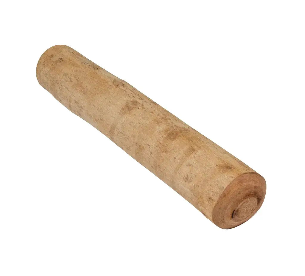 BOIS DE CANNELLE  | LA MASTICATION HAUTE COUTURE