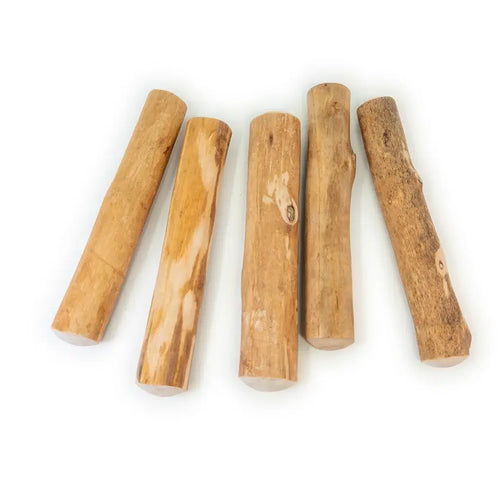 BOIS DE CANNELLE  | LA MASTICATION HAUTE COUTURE
