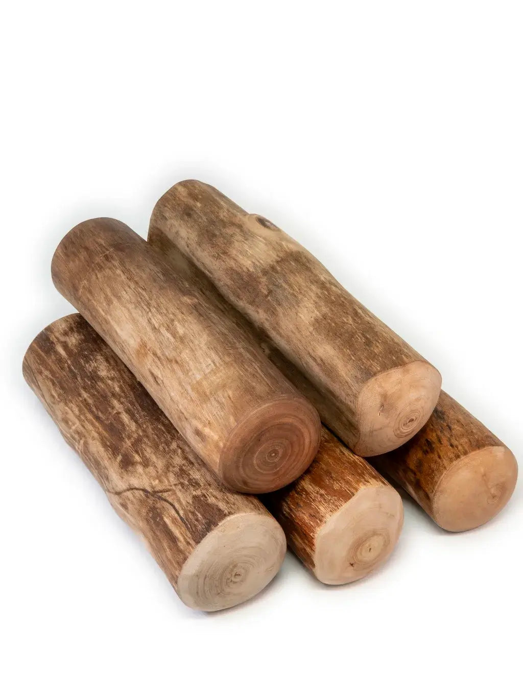 BOIS DE CANNELLE  | LA MASTICATION HAUTE COUTURE