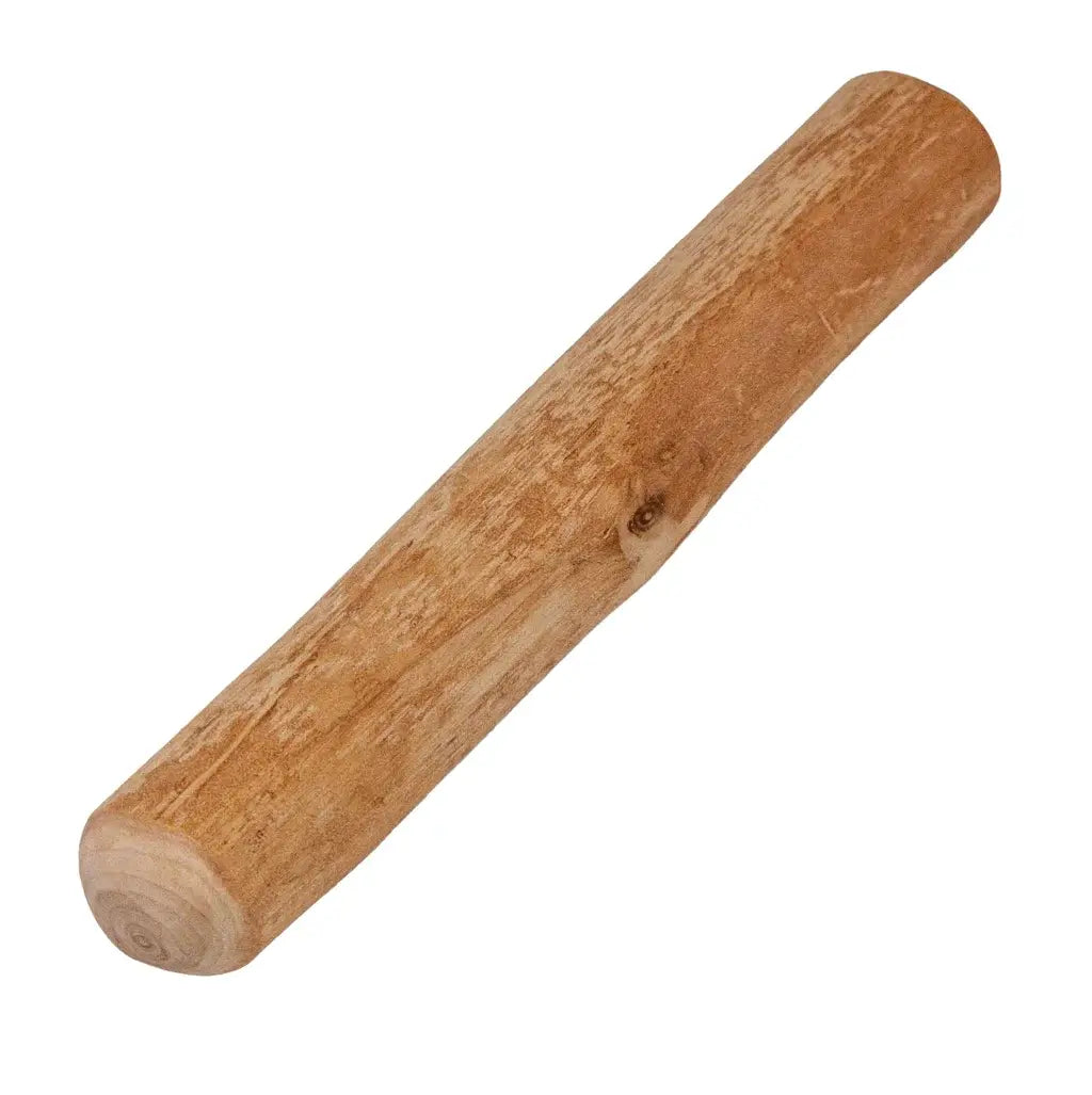 BOIS DE CANNELLE  | LA MASTICATION HAUTE COUTURE