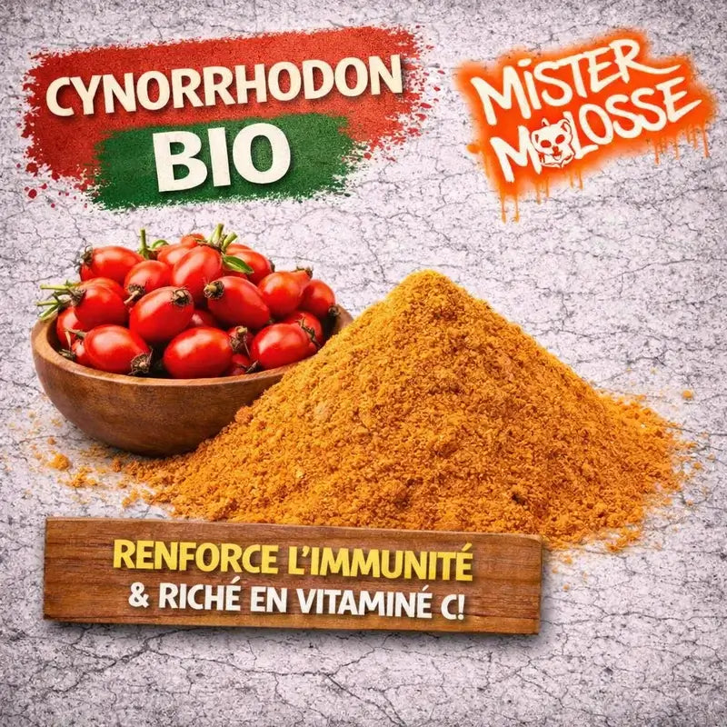 CYNORRHODON BIO pour chien