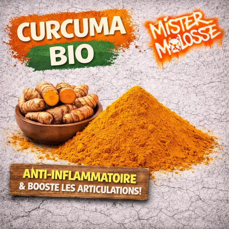  Curcuma bio pour chien