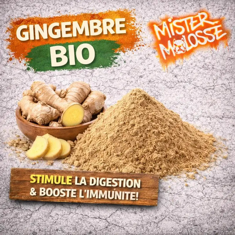 GINGEMBRE BIO  pour chien