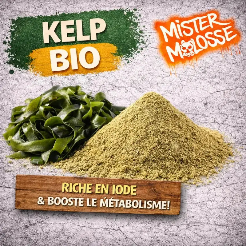 KELP BIO pour chien