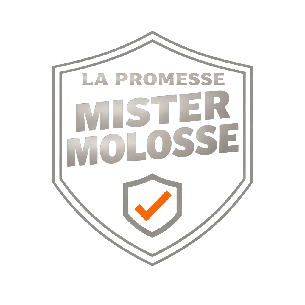 La promesse Mister Molosse mastication 
