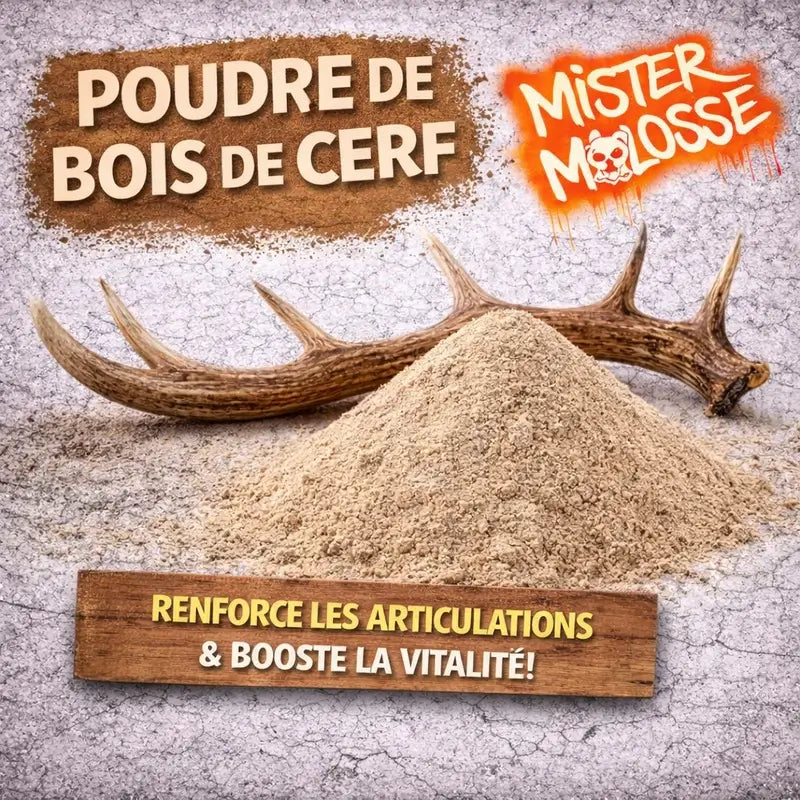 POUDRE DE BOIS DE CERF POUR CHIEN