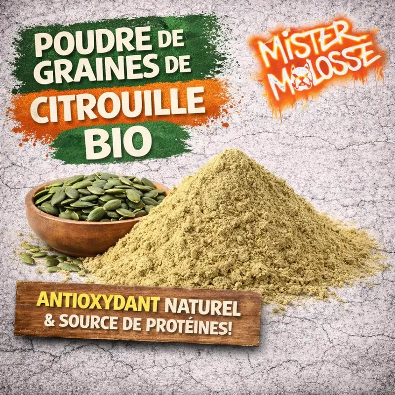 POUDRE DE GRAINES DE CITROUILLE BIO  pour chien