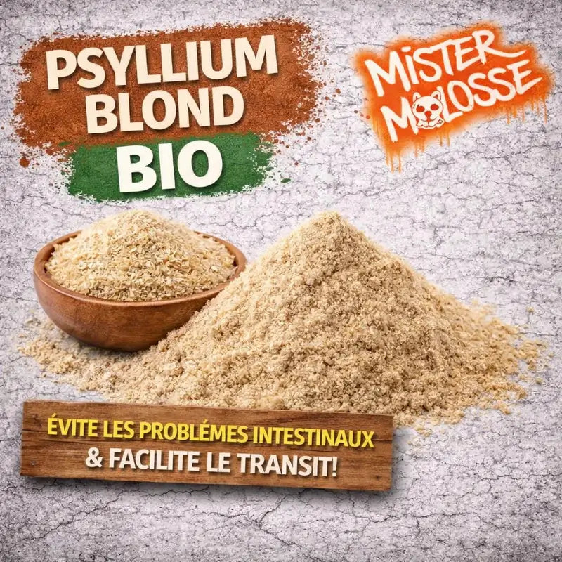 PSYLLIUM BLOND BIO Pour chien