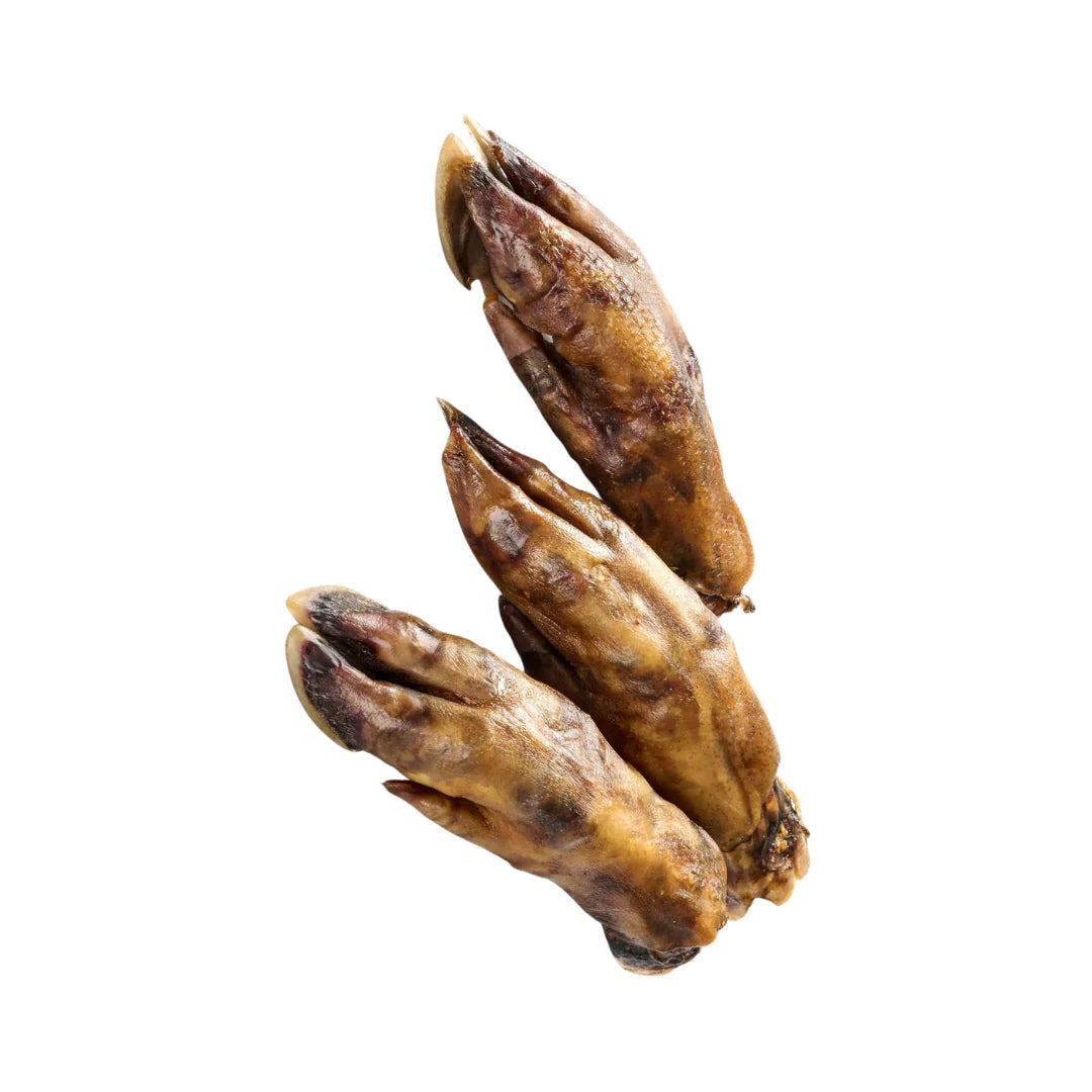 Pattes de sanglier pour chien