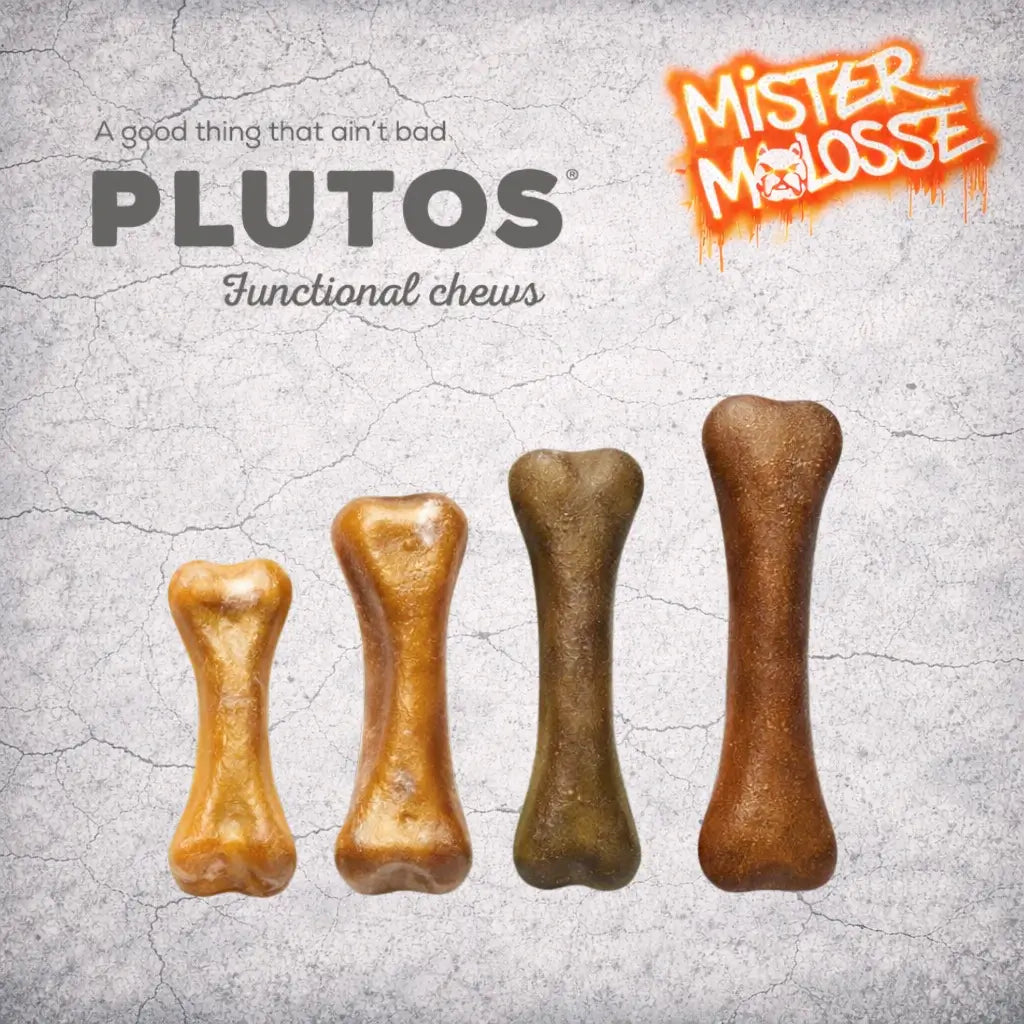 Plutos os à macher pour chien