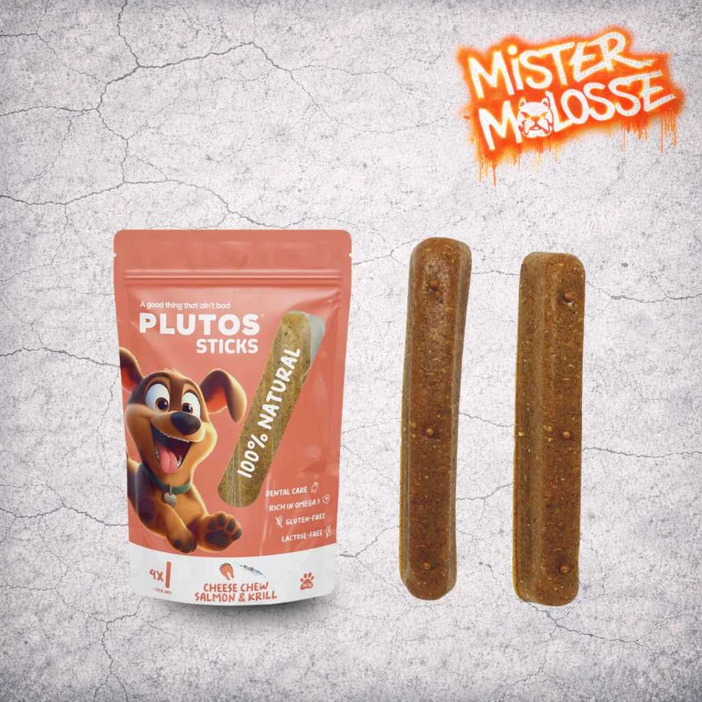 PLUTOS STICKS DENTAIRE | L'UNITÉ D'ÉLITE POUR UN SOURIRE DE TITANE