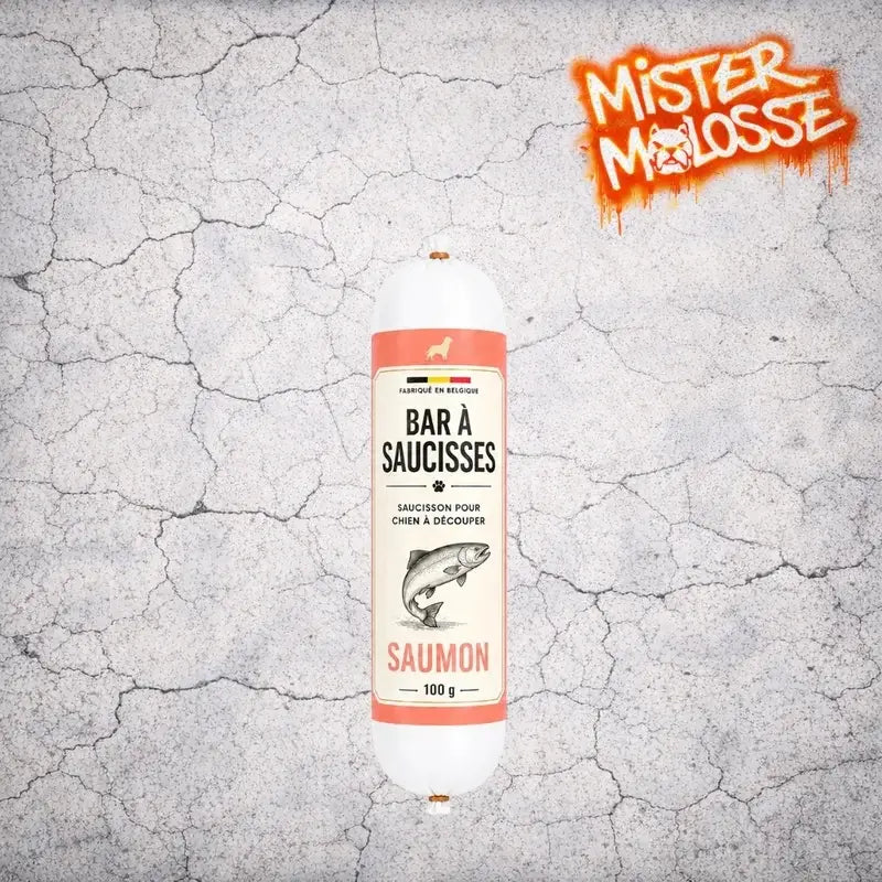 Saucisson pour chien saumon 100G