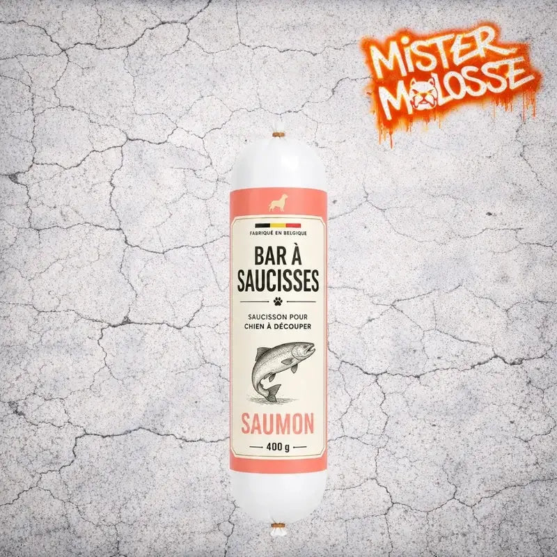 Saucisson pour chien saumon 400G
