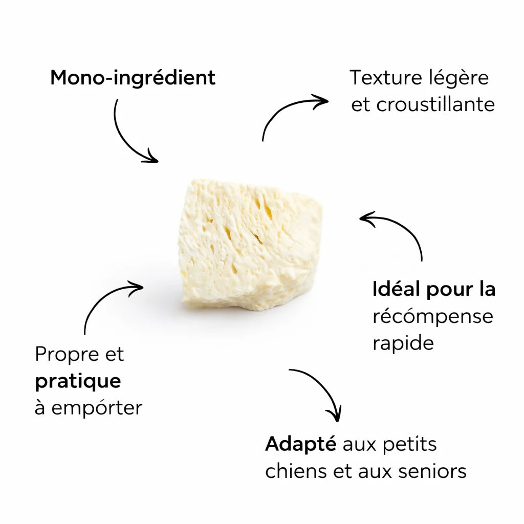 FROMAGE LYOPHILISÉ "CHEEZY DOG" | LE PLEINS DE PROTÉINES DANS UNE BOUCHÉE CRUNCHY
