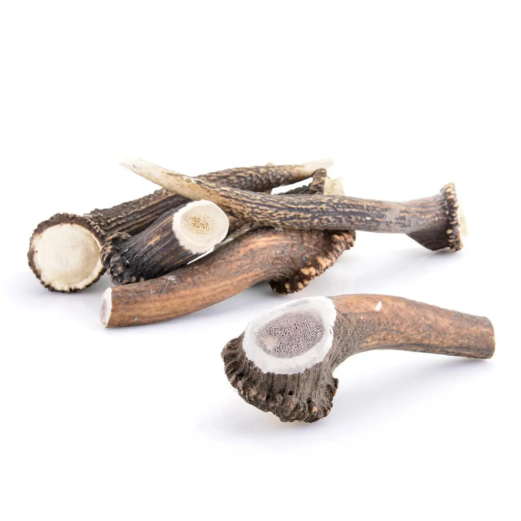 BOIS DE CERF ENTIER | L’ARSENAL ULTIME