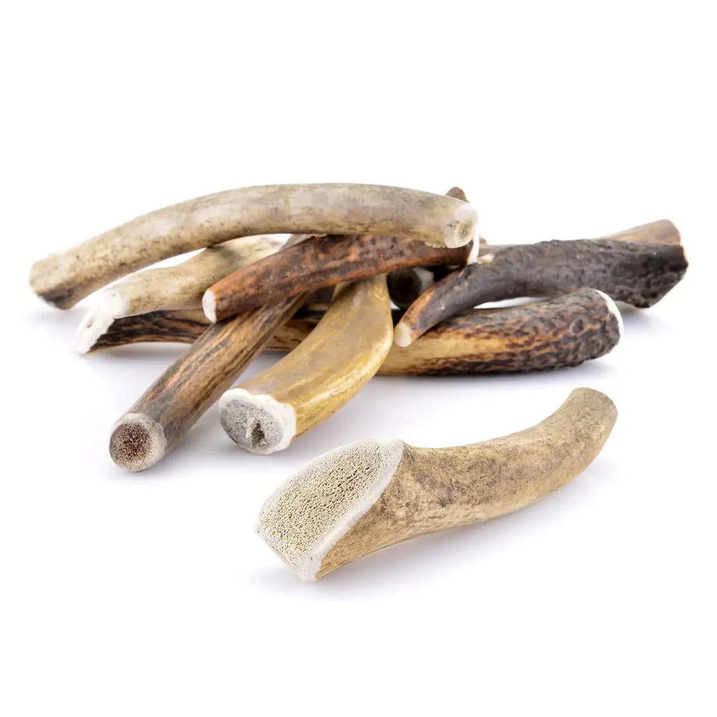 BOIS DE CERF ENTIER | L’ARSENAL ULTIME