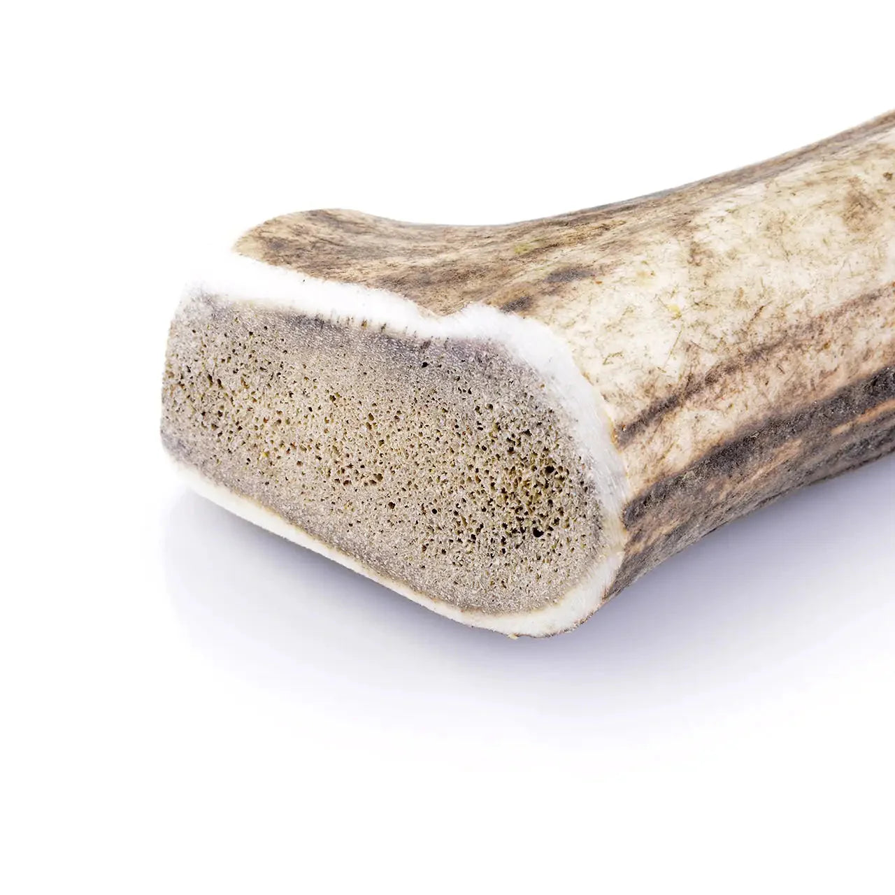 BOIS DE CERF ENTIER | L’ARSENAL ULTIME