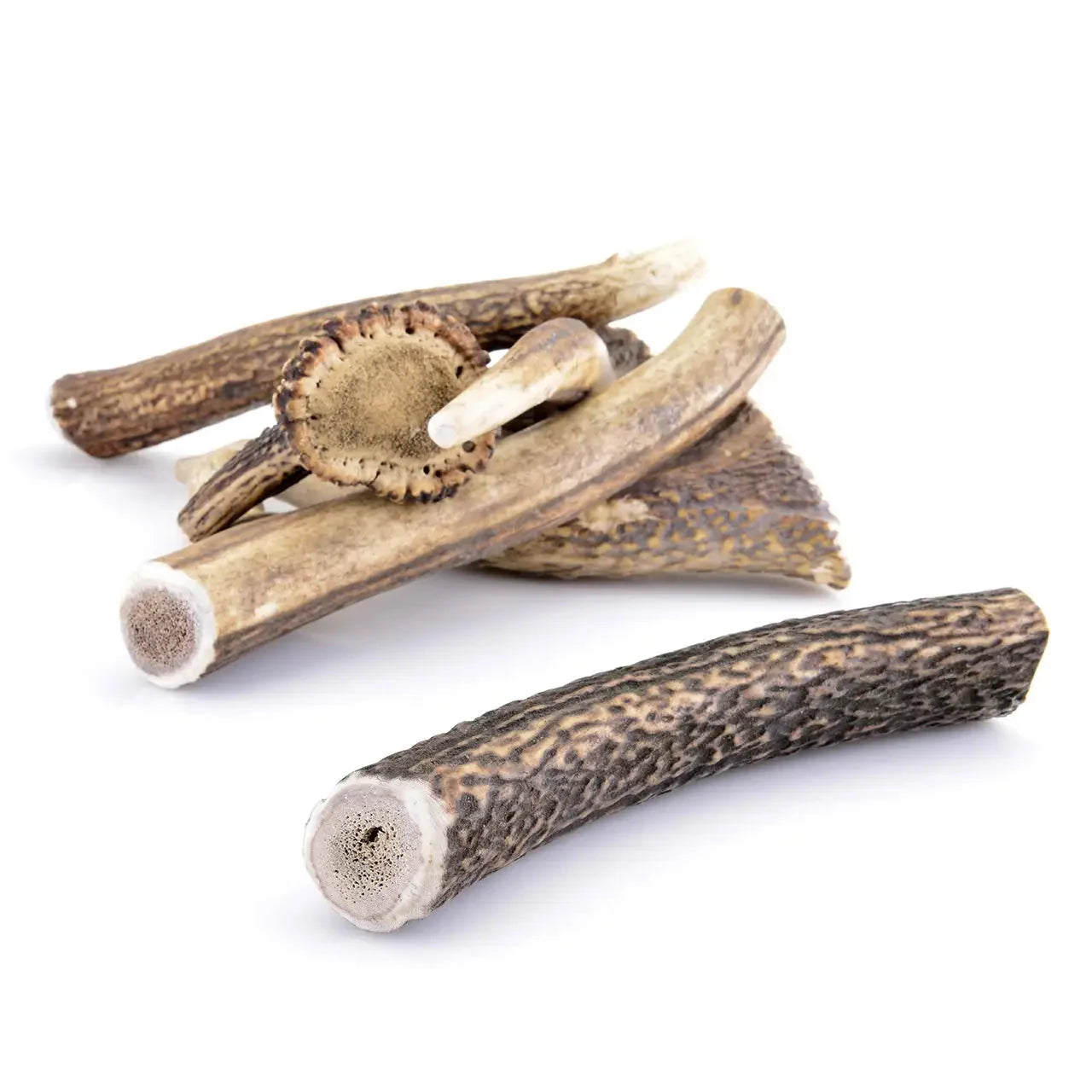 BOIS DE CERF ENTIER | L’ARSENAL ULTIME