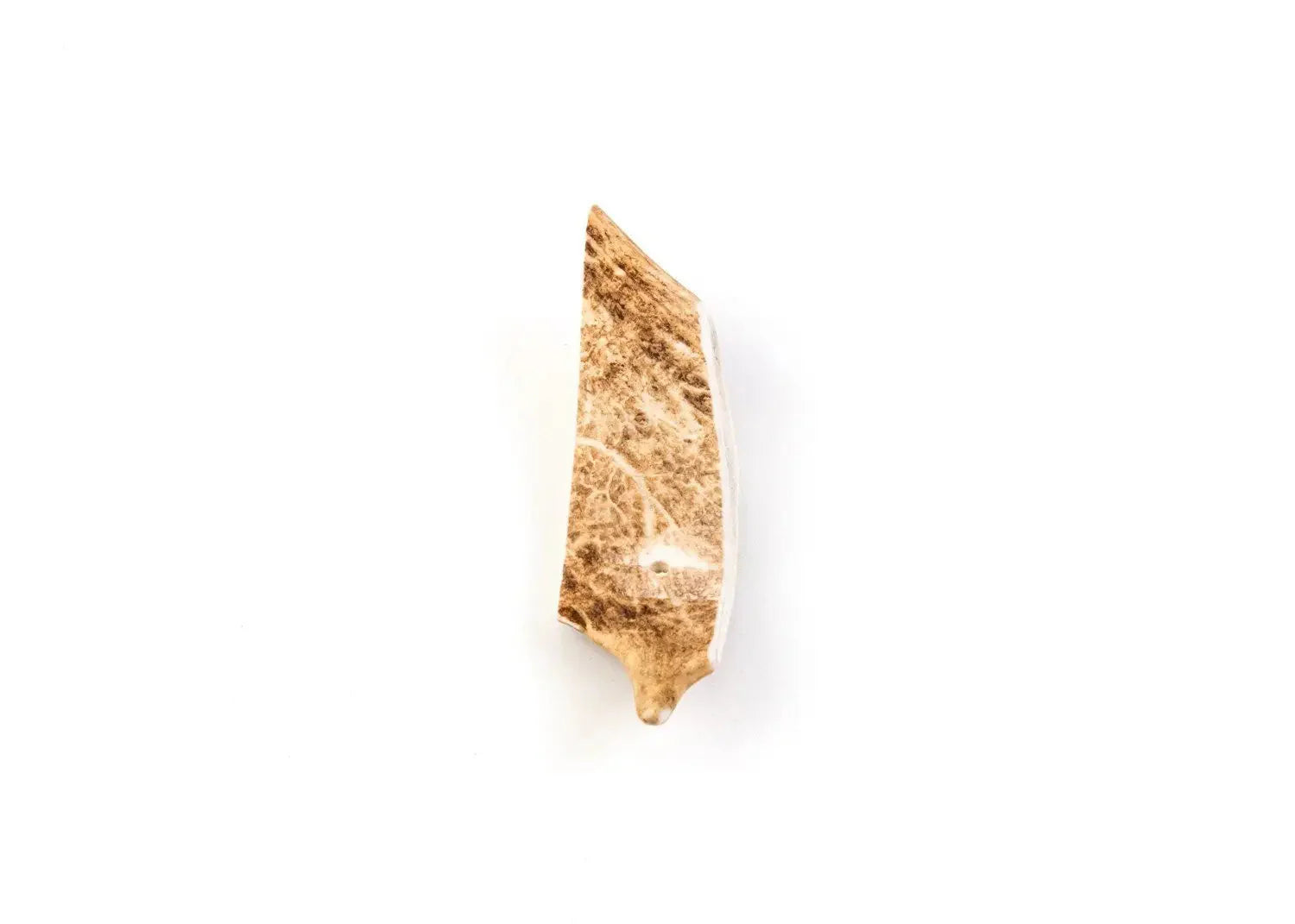 bois-daim-chien xs