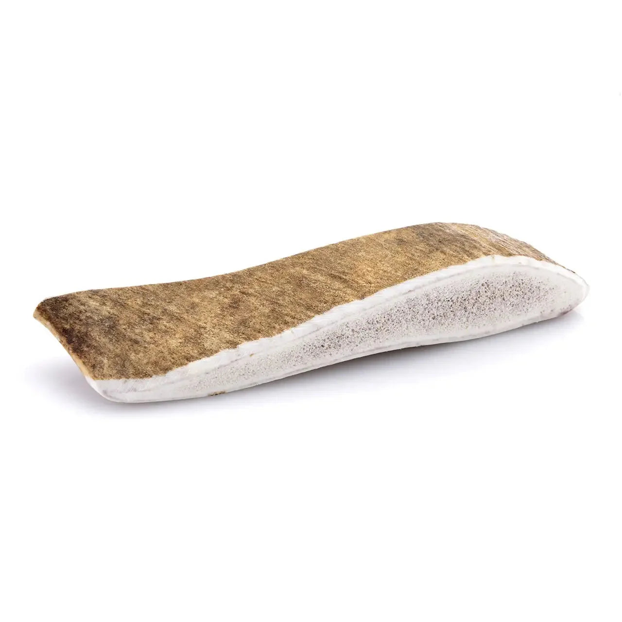 bois-daim-chien s