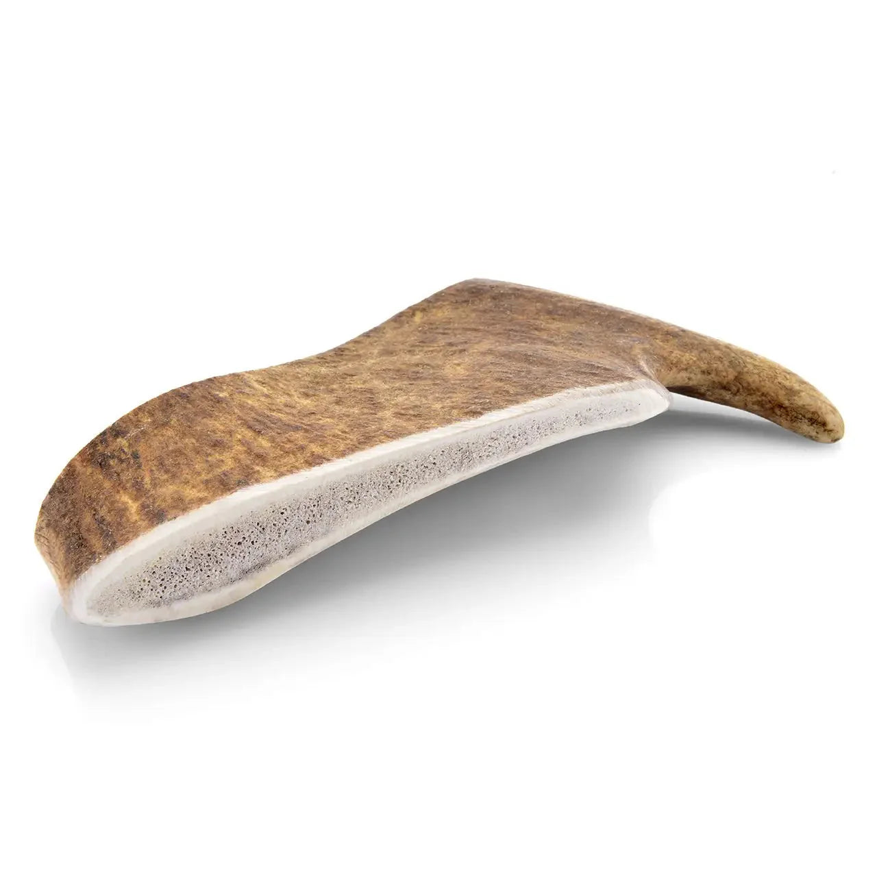 bois-daim-chien l