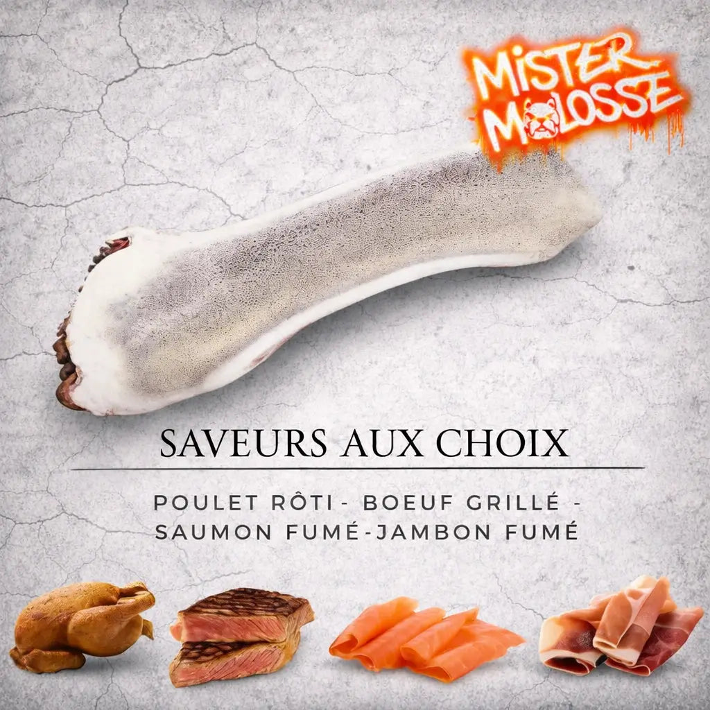 bois_de_cerf_chien_aromatises-mastication