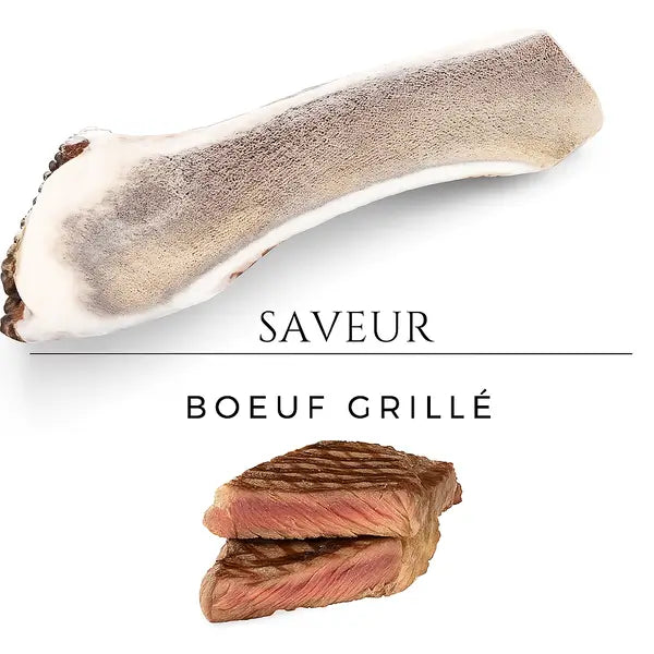 BOIS DE CERF FENDU EDITION AROMATISÉ | LE LUXE DE LA MOELLE