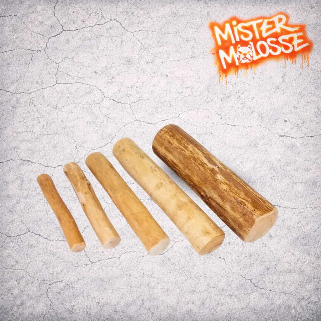 BOIS DE CANNELLE  | LA MASTICATION HAUTE COUTURE