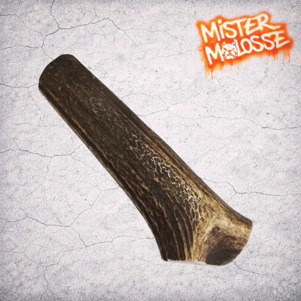 Bois de cerf entier pour chien