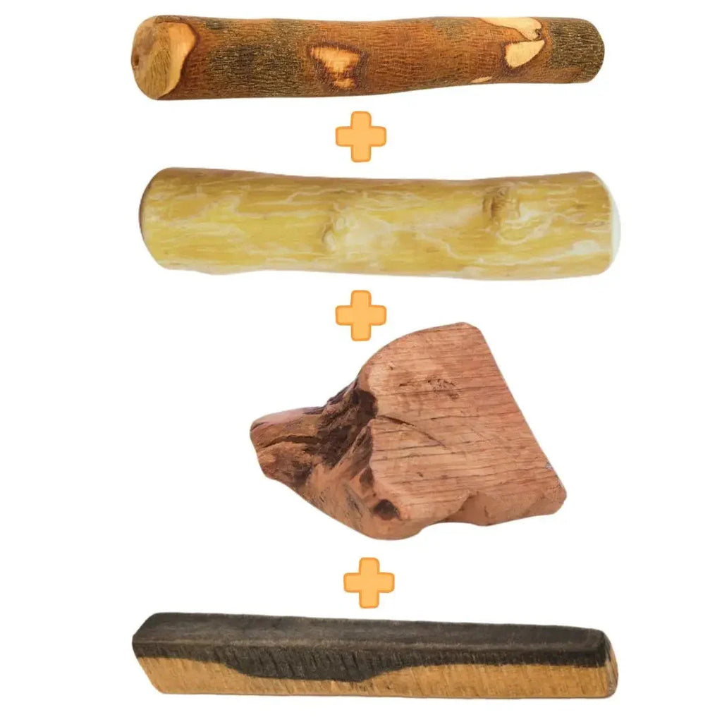 box-mastication-chien-vegetal