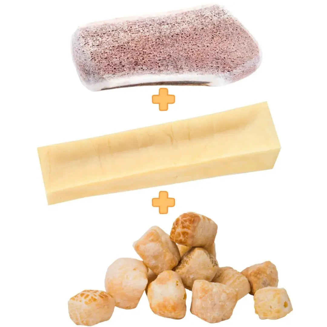 box-mastication-chiot