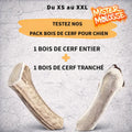 BOX BOIS DE CERF | LE DUO STRATÉGIQUE POUR MÂCHOIRES D'ÉLITE