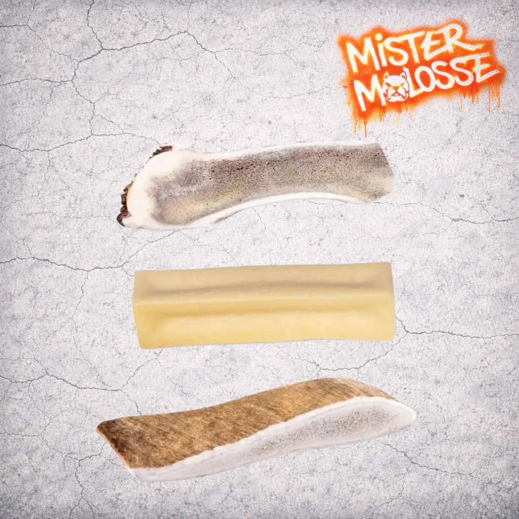 box mastication_debutant