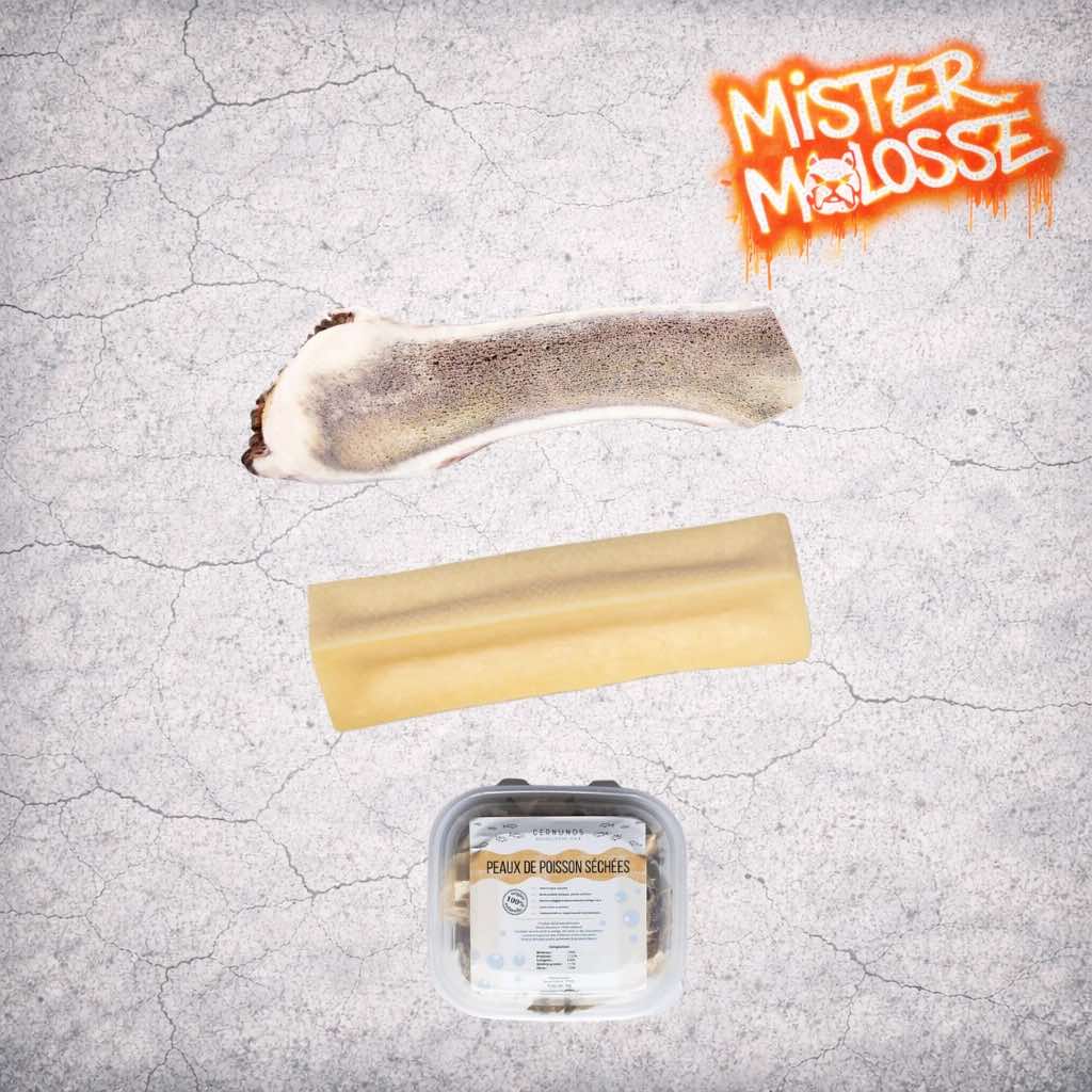 BOX MASTICATION GOURMANDE | LE FESTIN DES ESTHÈTES DU QUARTIER