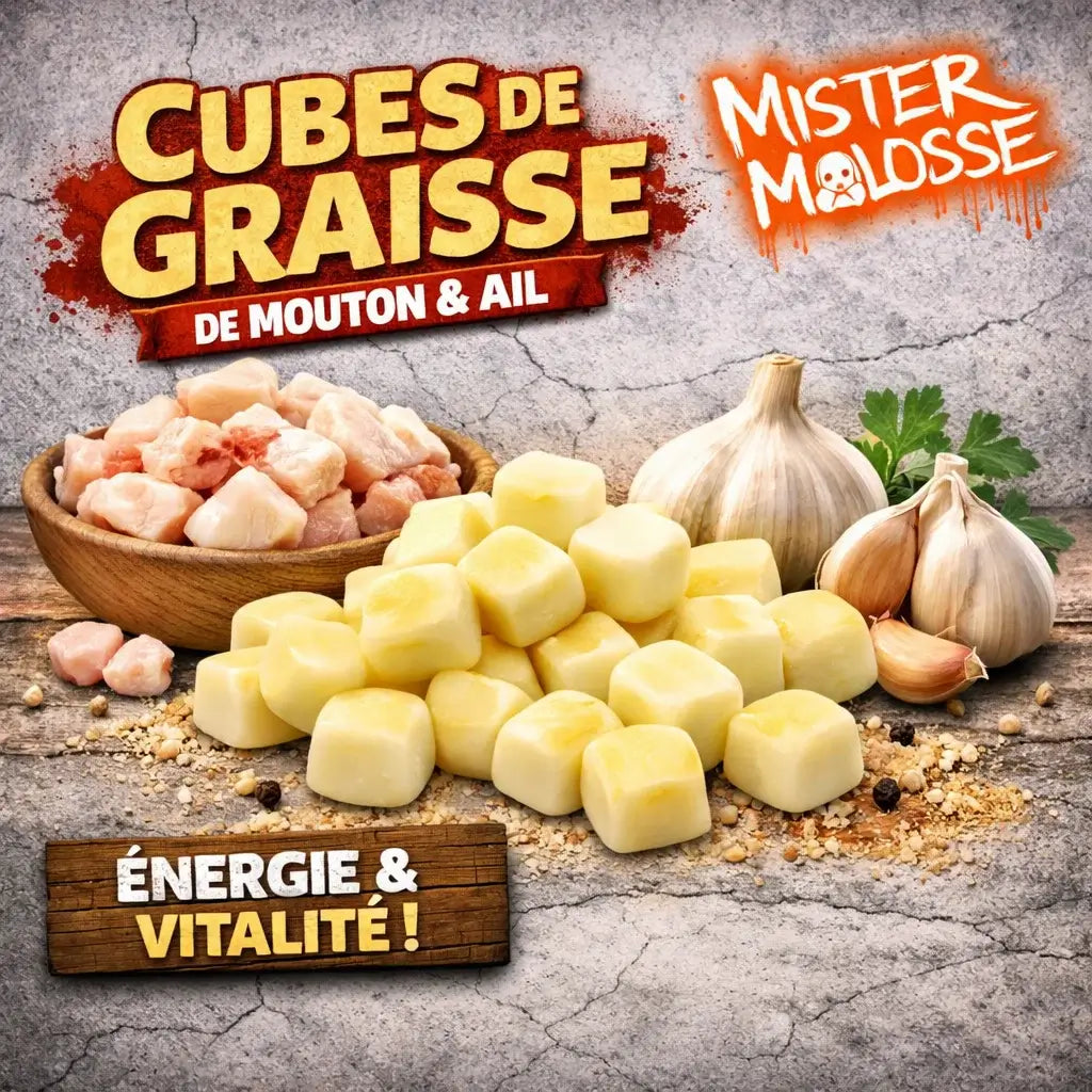 CUBES DE GRAISSE DE MOUTON & AIL | LE BOUCLIER DE L'ARSENAL