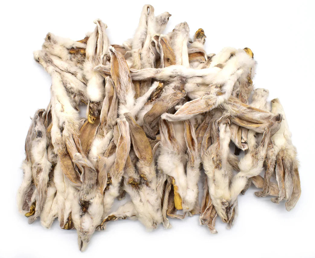 oreille-de-lapin-avec-poils