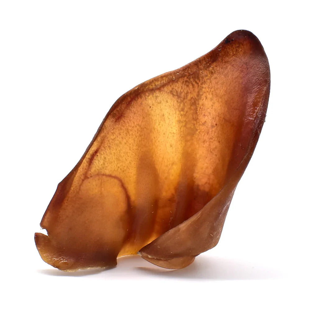 oreilles_de_porc_normales_pour_chien