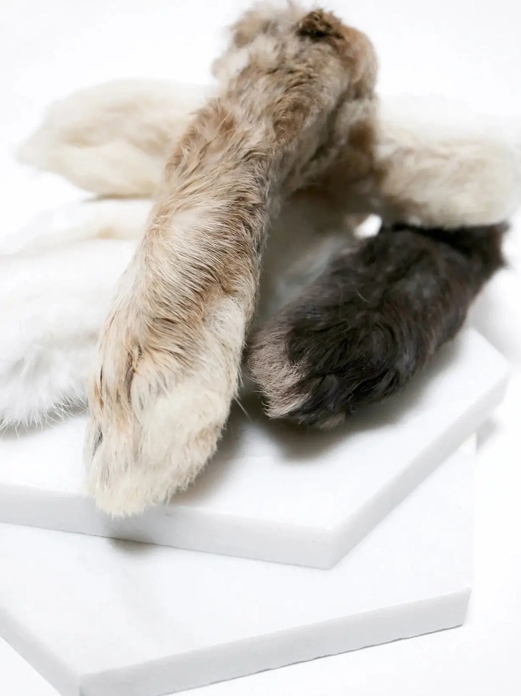 PATTE DE LAPIN | LE SNACK "FOURRURE" POUR L'INSTINCT PUR
