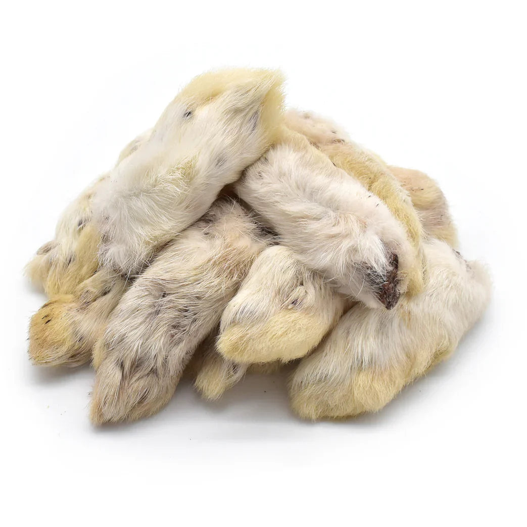 Patte de lapin pour chien