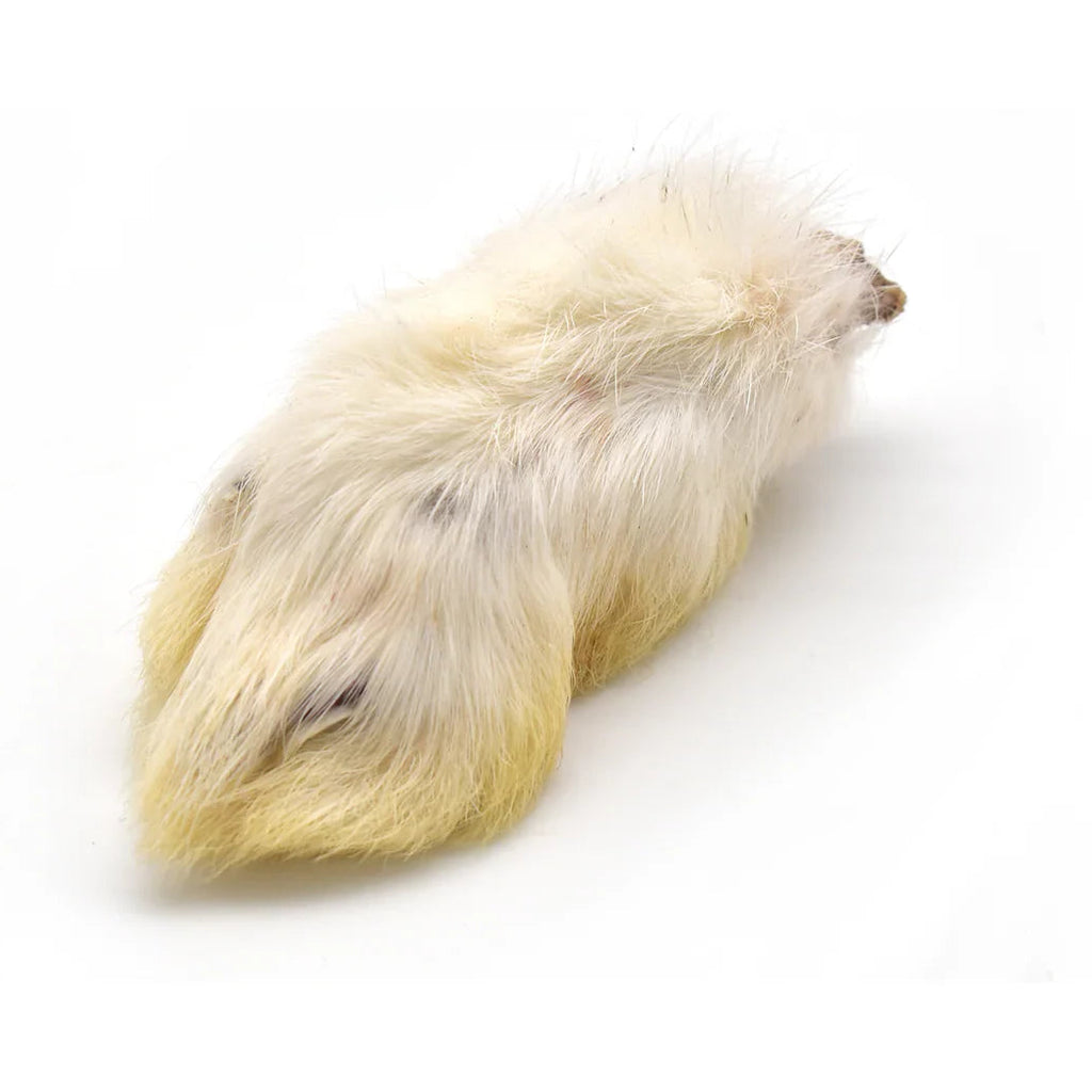 Patte de lapin pour chien