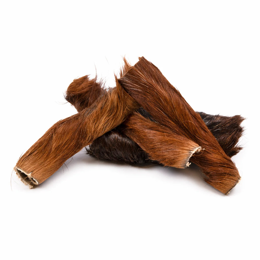  peau de cheval + poils pour chien