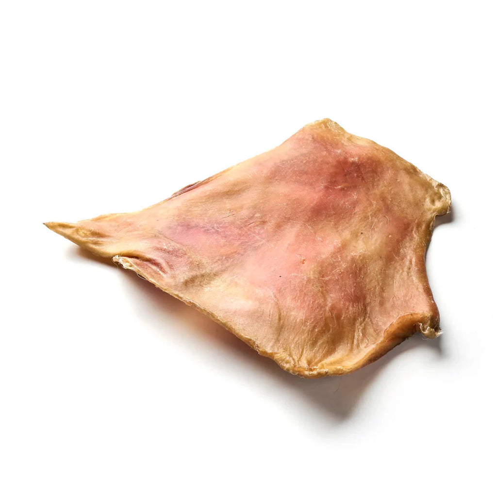 plaque de peau de bœuf pour chien XL