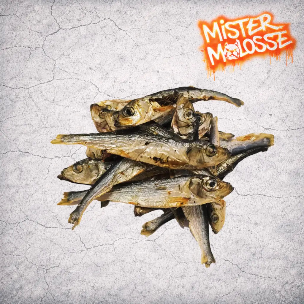 sprats pour chien et molosse
