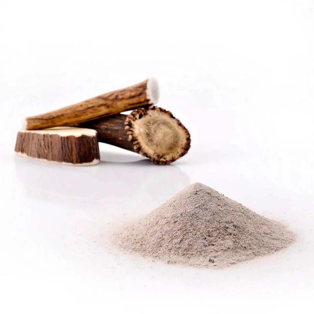 POUDRE DE BOIS DE CERF | LE BOOSTER DE PERFORMANCE POUR TON MOLOSSE