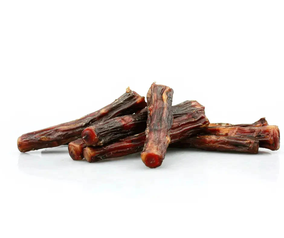 queue-boeuf-chien
