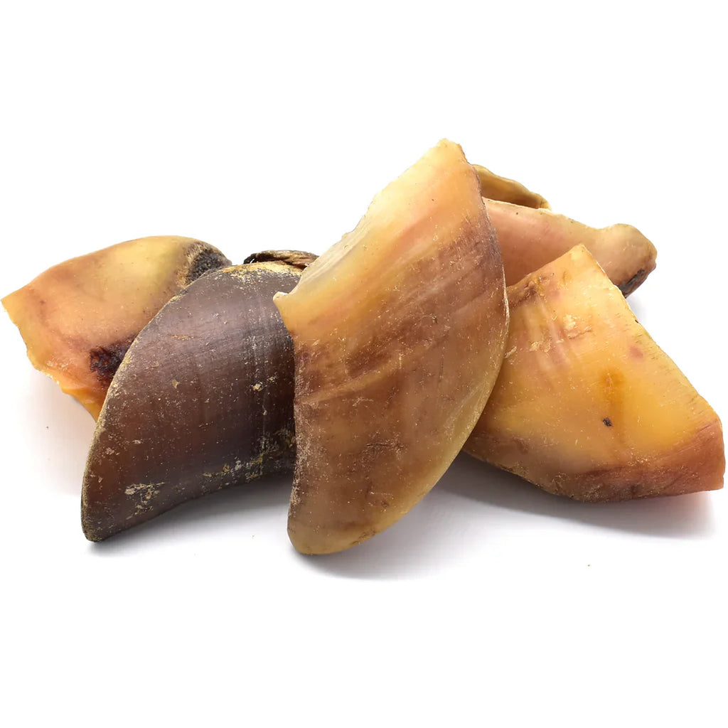 sabot_de_boeuf