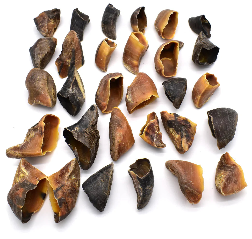sabot_de_boeuf_50pcs